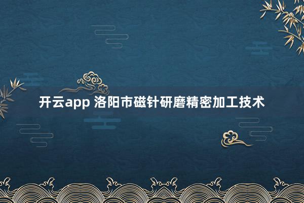 开云app 洛阳市磁针研磨精密加工技术