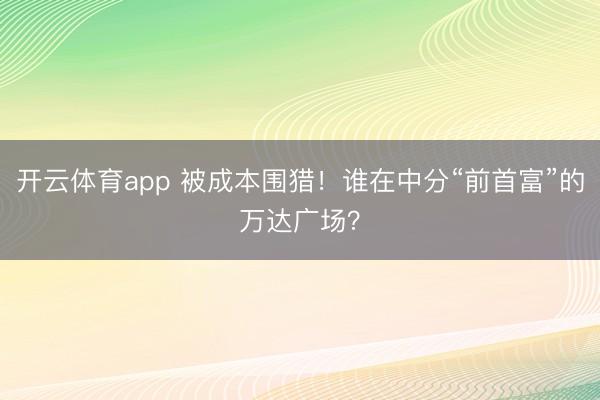 开云体育app 被成本围猎!谁在中分“前首富”的万达广场?